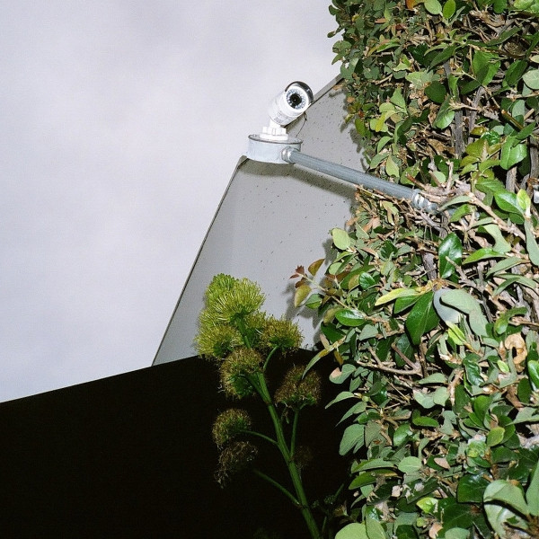 Christian Filardo Photo