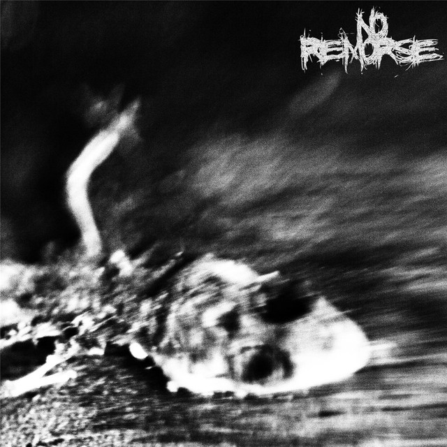 No Remorse Photo