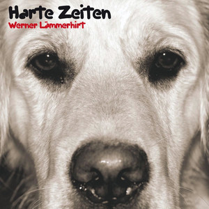 Harte Zeiten cover