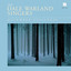 December Stillness cover