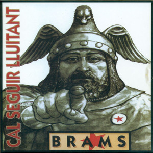 Cal seguir lluitant cover