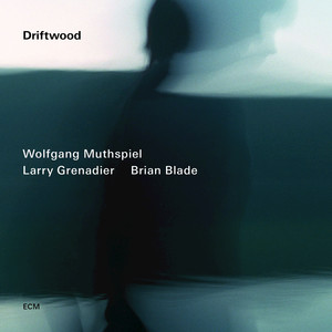 Driftwood cover