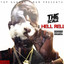 The Scale cover