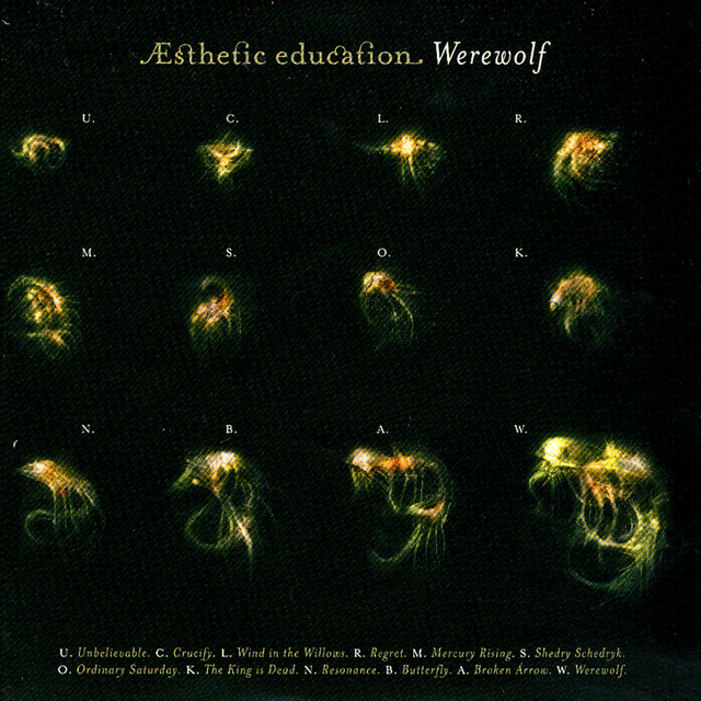 Esthetic Education Photo