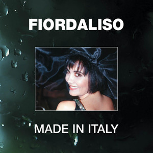 Made In Italy cover