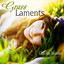 Grass Laments cover