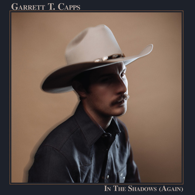 In The Shadows (again) cover