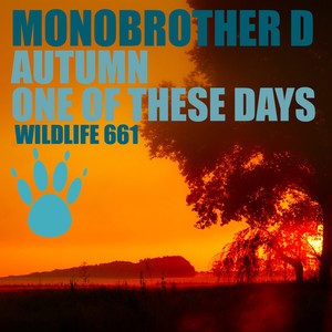 Monobrother D