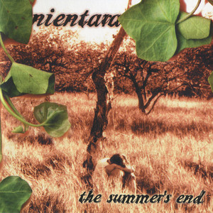 Scars Faded As Flowers