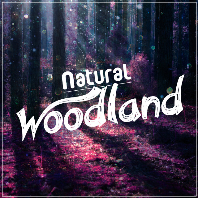 Natural Woodland Albumcover