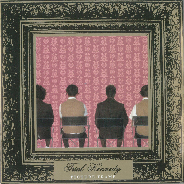 Picture Frame cover