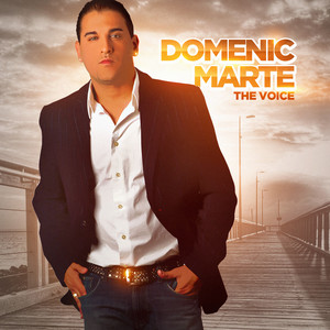 The Voice cover