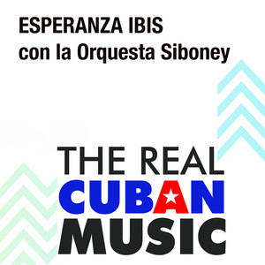 Premessa cover