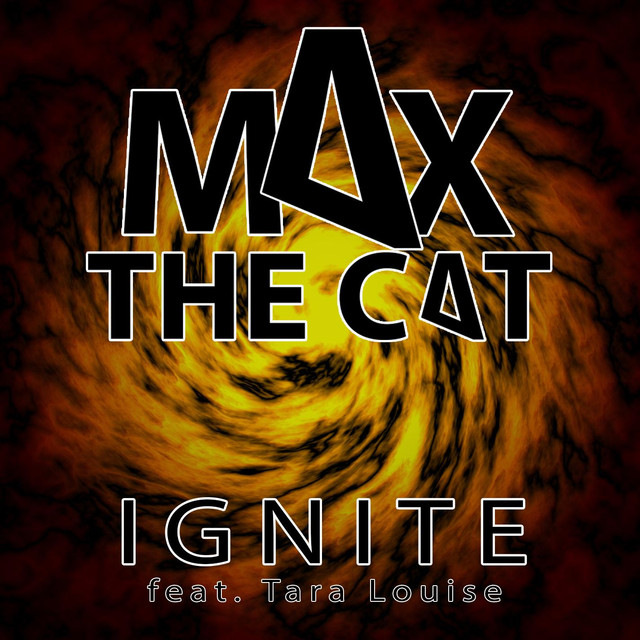 Max the Cat Photo