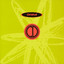 Orbital cover