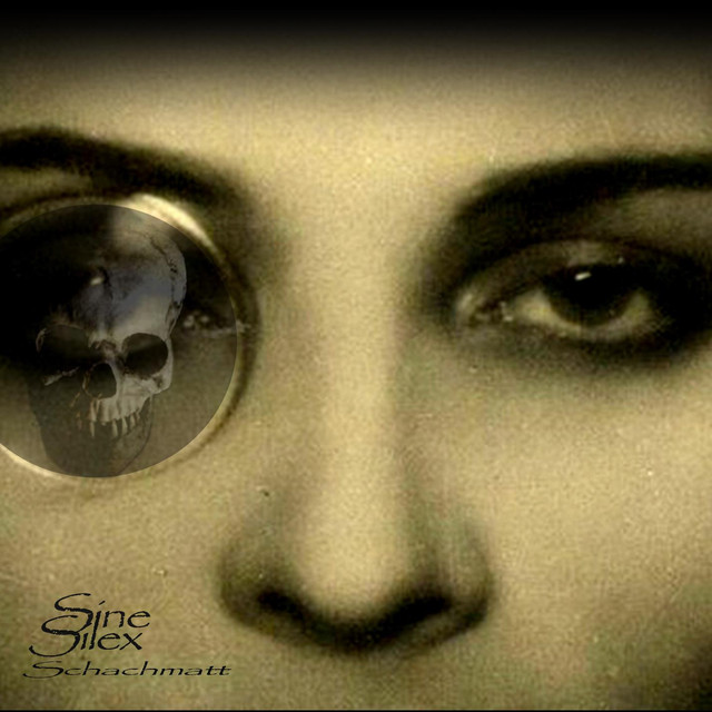 Sine Silex Photo