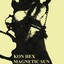 Magnetic Sun Albumcover