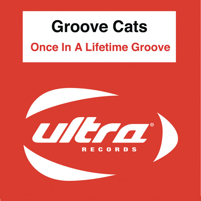 Groove Cats Photo
