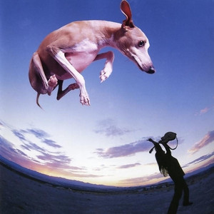 Flying Dog album