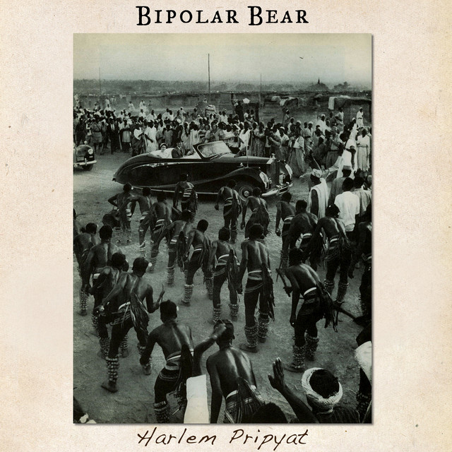 Bipolar Bear Photo