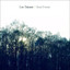 Rain Forest Albumcover
