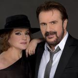 Pimpinela