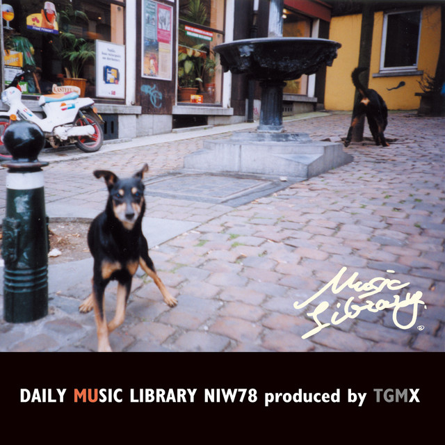 TGMX Photo