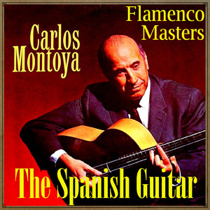 Guitar & Flamenco cover