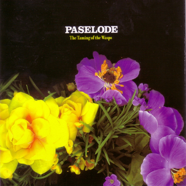 Paselode Photo