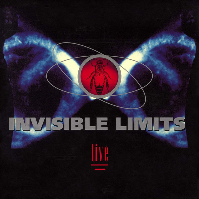 Invisible Limits cover