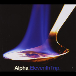 Eleventh Trip cover