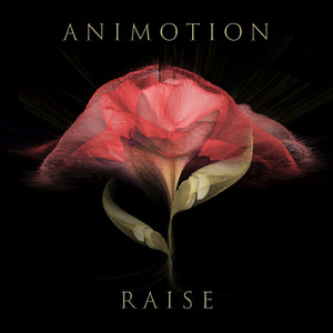 Raise Your Expectations album