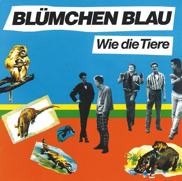 Blümchen Blau Photo
