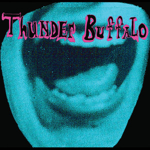 Thunder Buffalo Albumcover