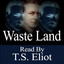 Waste Land Albumcover