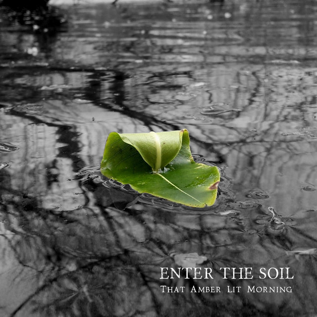 Enter the Soil Photo