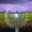 Love (528hz Meditations) Albumcover
