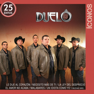 Íconos 25 Éxitos album
