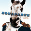 My Horse Likes You Albumcover