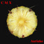 Aurinko (2012 - Remaster) cover