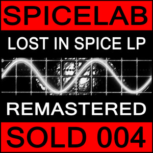 Lost in Spice cover