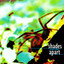 Seeing Thing cover