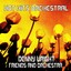 Hot Hits Orchestral Albumcover