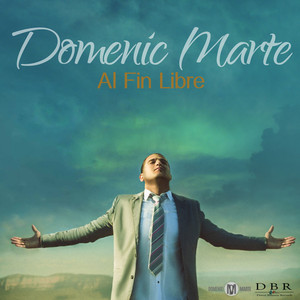 Al fin libre cover