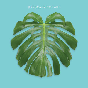 Not Art album