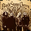 Black Stone Cherry cover