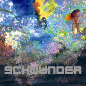 Schwunder cover