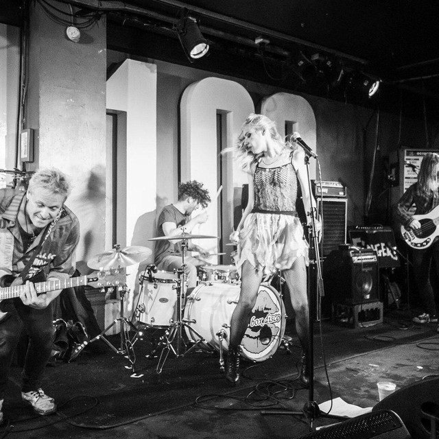 Healthy Junkies photo