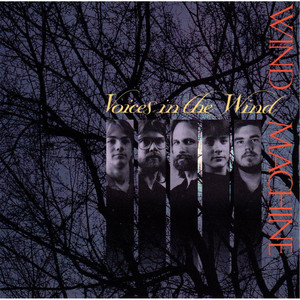 Voices In The Wind cover