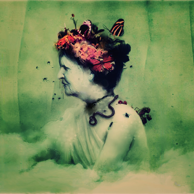 Empress Rising cover